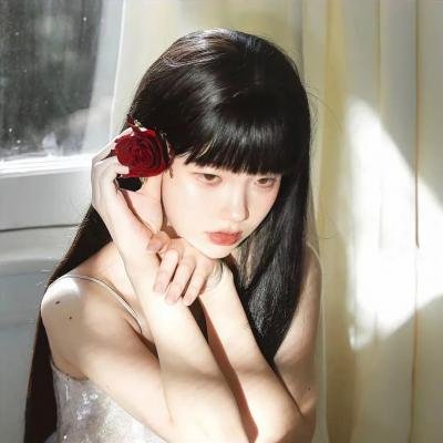 海龟们